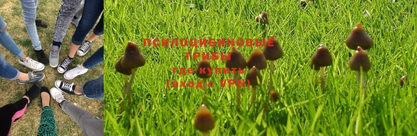 стаф Алексеевка