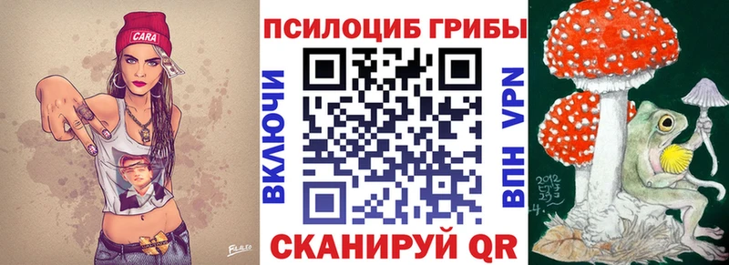 Галлюциногенные грибы Cubensis  закладки  Новое Девяткино 
